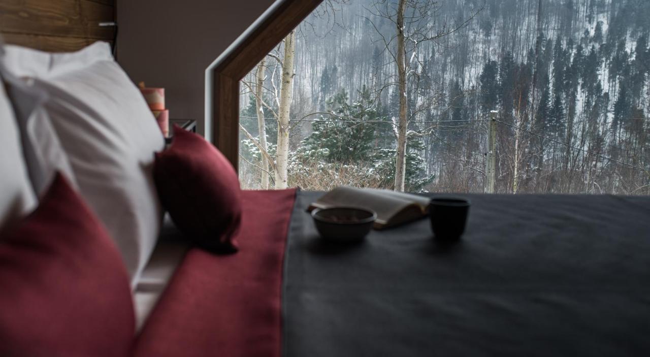 Aspen Deluxe Residence & Aspen Cottage Międzybrodzie Bialskie Eksteriør billede